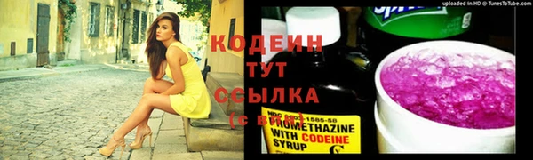 эйфоретик Баксан