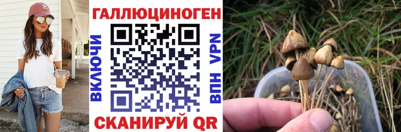 Галлюциногенные грибы Psilocybine cubensis  купить закладку  Чусовой 